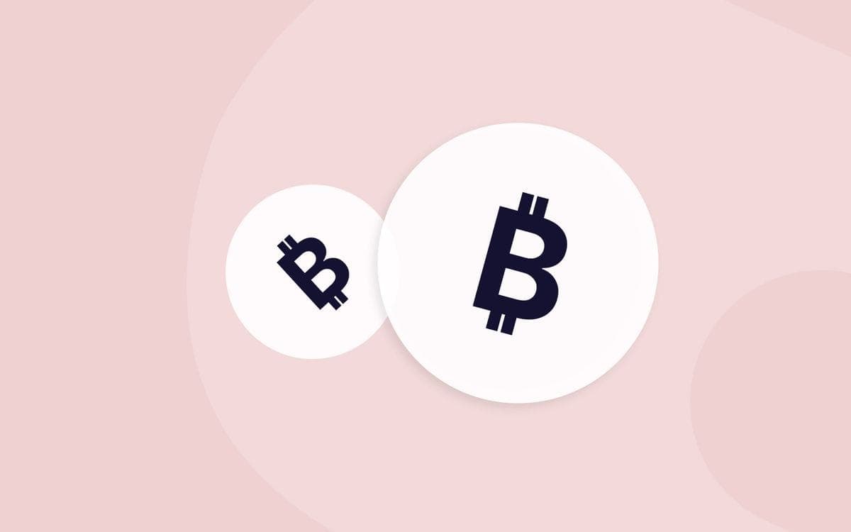 Bitcoin logo on Data Zoo background